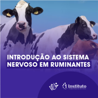 CURSO DE INTRODUÇÃO AO SISTEMA NERVOSO EM RUMINANTES