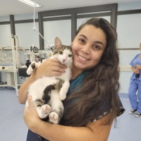 MINICURSO: Fundamentos da Neurologia Felina e Abordagem das Principais Enfermidades Infecciosas do Sistema Nervoso em Gatos