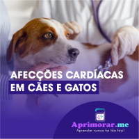 CURSO DE AFECÇÕES CARDÍACAS EM CÃES E GATOS