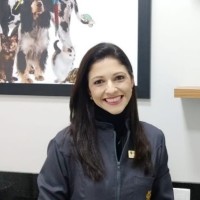 Tumores mamários em gatas