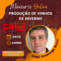 MINICURSO ONLINE: Produção de vinhos de inverno