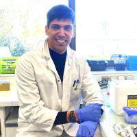Minicurso: Aplicação da tecnologia CRISPR/Cas9 para edição de genomas – pipeline da edição em Arroz (Oryza Sativa L.)