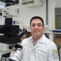 MINICURSO: Aspectos macroscópicos e microscópicos de doenças