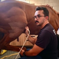 Minicurso: Anatomia aplicada a ortopedia