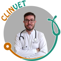 MINICURSO: Reprodução Clínica e Gestão Reprodutiva em Cães e Gatos
