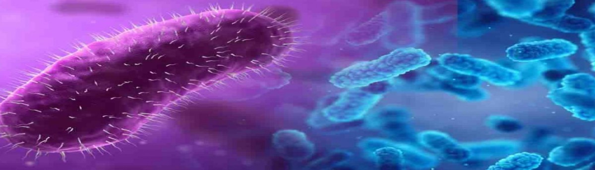 Reapresentação do I Congresso Nacional de Microbiologia Clínica On-Line 