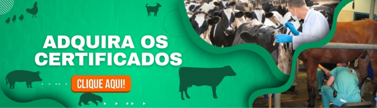 Adquira seus certificados