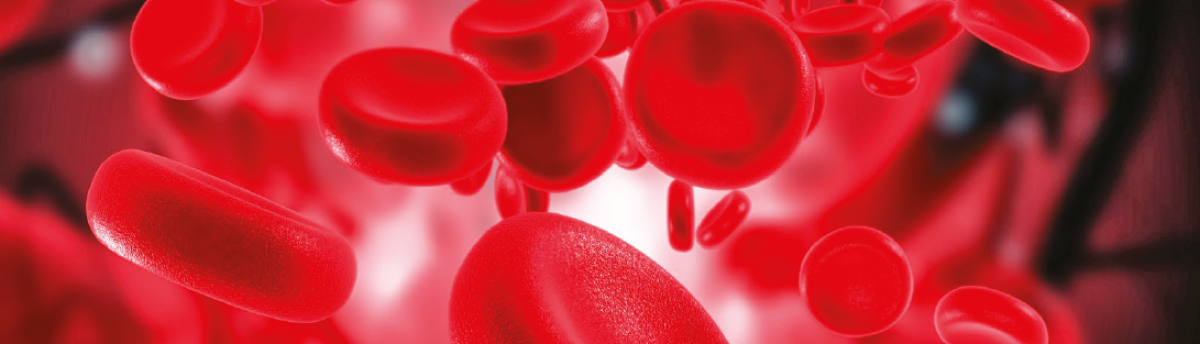  Participe da II edição do HEMATOCLIL