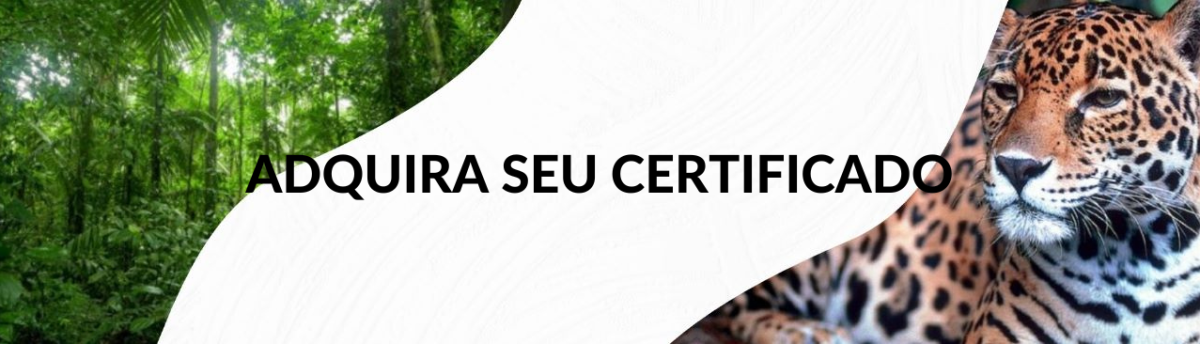 Adquira seus certificados