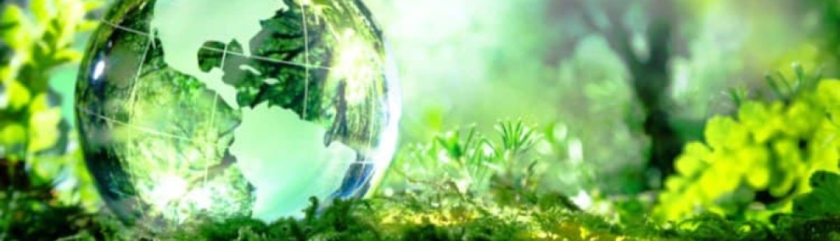 Reapresentação do I Congresso Brasileiro de Biodiversidade Virtual