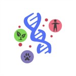 Ee