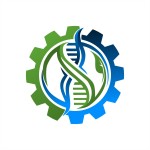AE