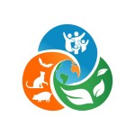 AE