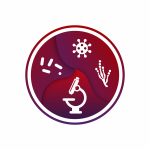 AE