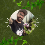 Adoeecde
