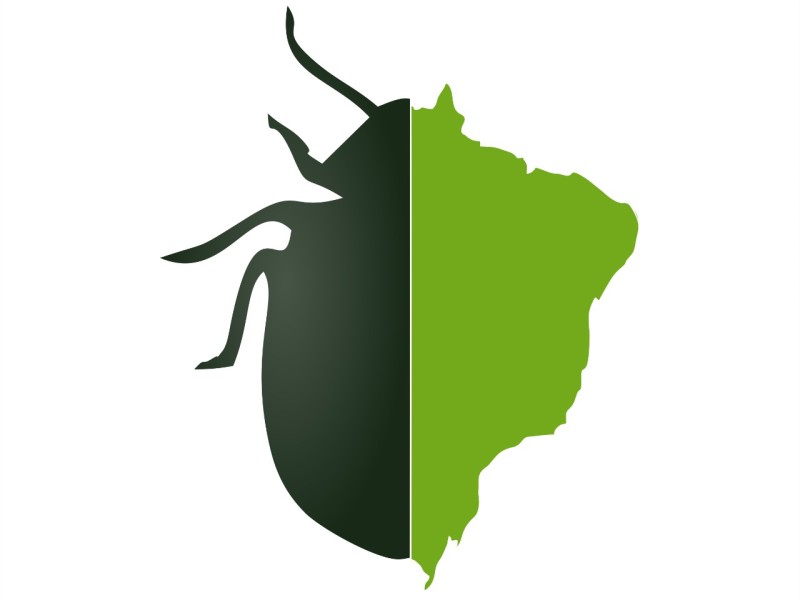 Biologia dos Insetos: Hymenoptera