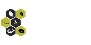 IC