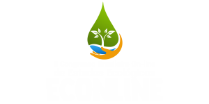 IE