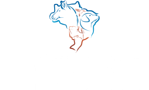 IC